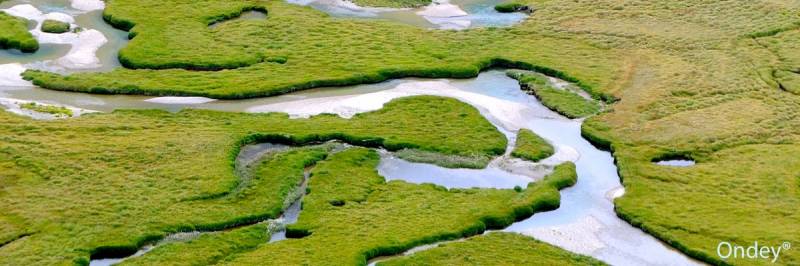 Appareil innovant pour séance de relaxation haut de gamme en France