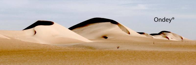 Relaxation intense et immersive pour centre de bien-être